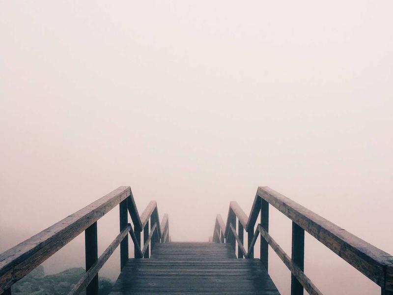 Discover the 'Tama Forest' — Nature Experience Tour in Okutama