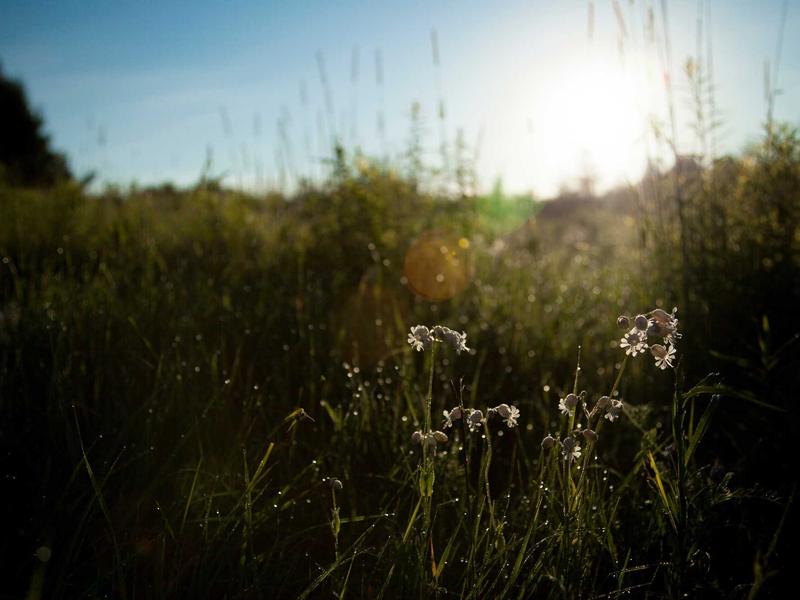 Free Instagram Seminar: Share the Charm of Tama Online