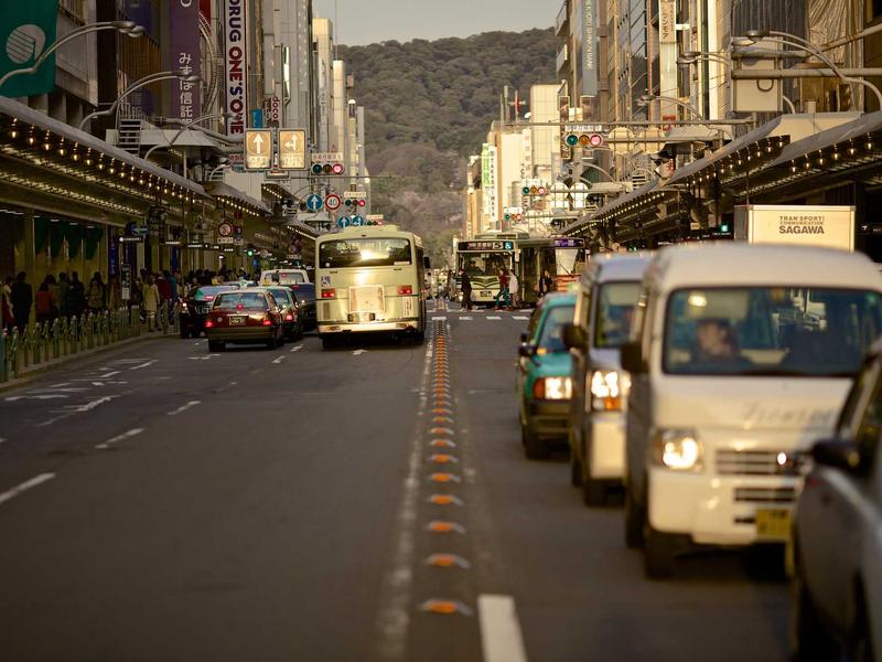 国立・大学通りのケヤキ並木——春に歩きたい多摩の散歩道