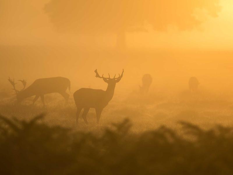 'Tama Forest' Revitalization Project Nature Experience Tour