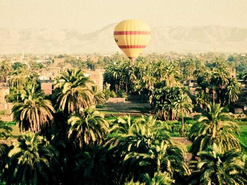 ImaTama: Your Go-To Guide for Events, Outdoors and Gourmet in the Tama Area